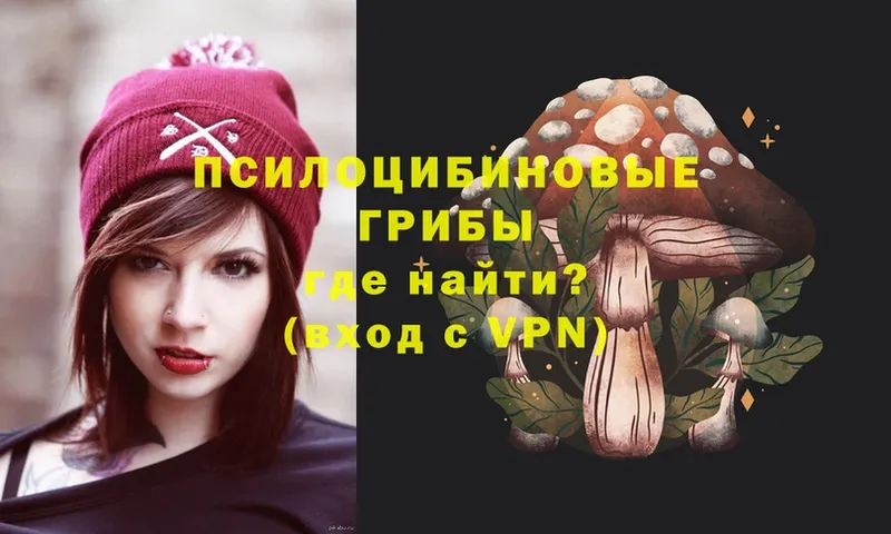 Галлюциногенные грибы Psilocybe  Константиновск 